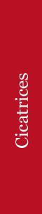 cicatrices